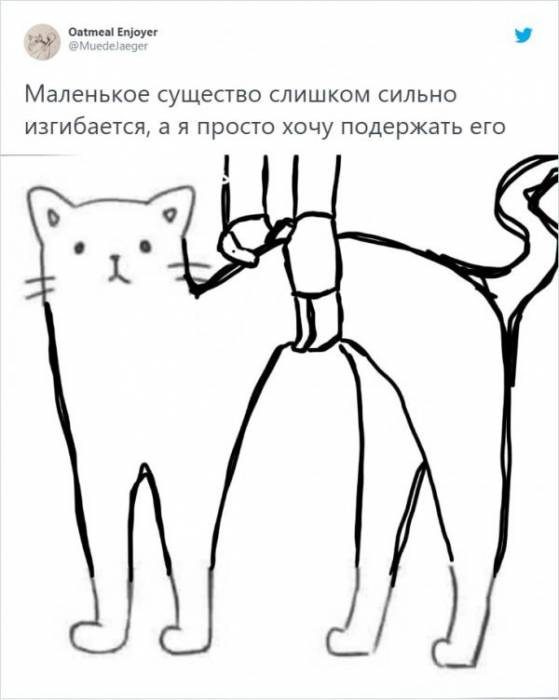 Дорисуй кота