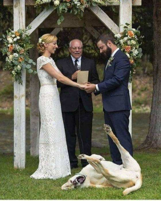 Смешные фотки со свадеб
