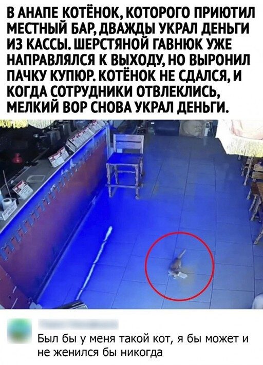 И весело и познавательно