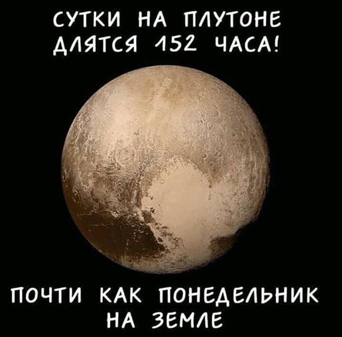 И весело и познавательно