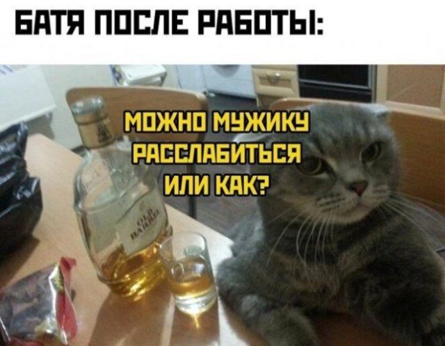 Шутки про алкоголь!