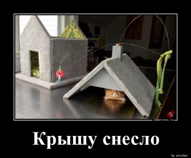 Крыша съехала картинки смешные