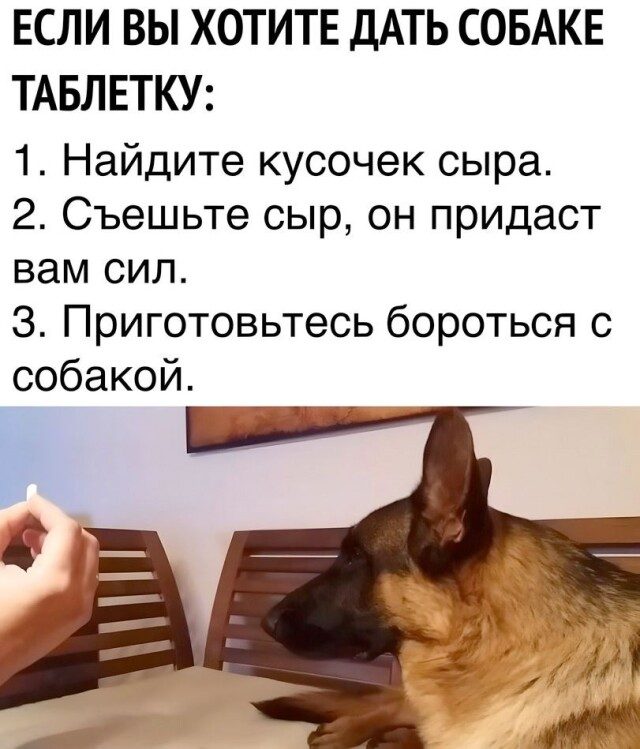 Прикольные мемы!