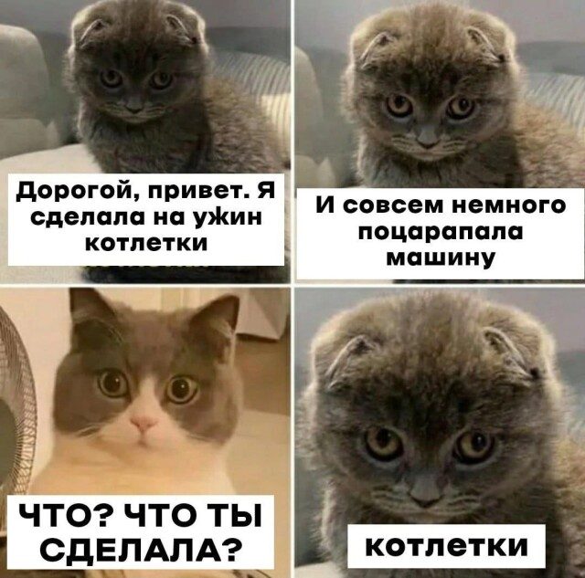 Прикольные мемы!