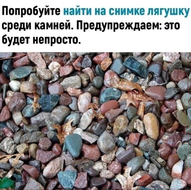 Улыбатор