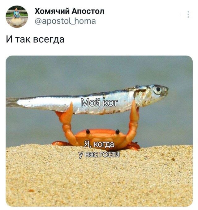 Для людей с чувством юмора!