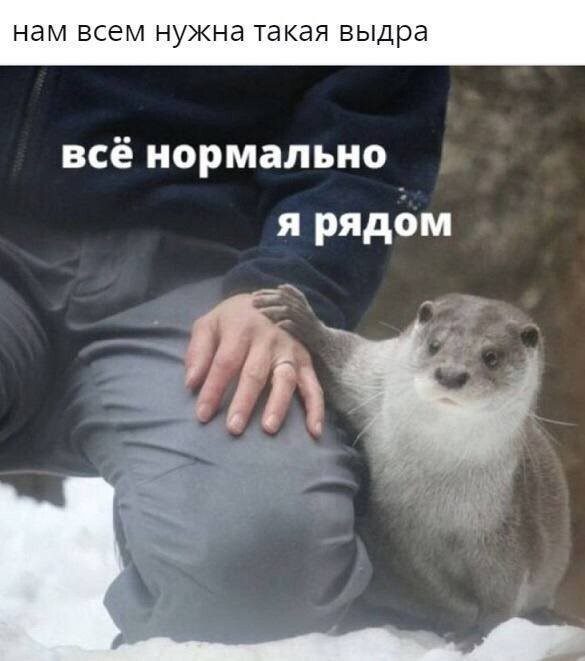 Соцсети и скриншоты