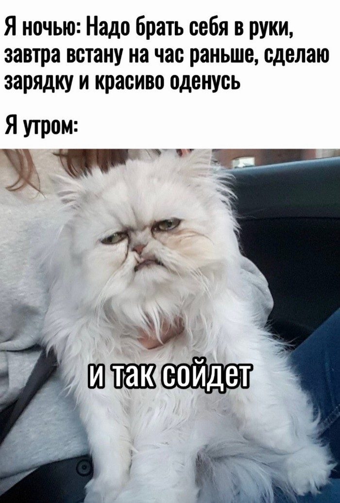 Скриншоты из соцсетей