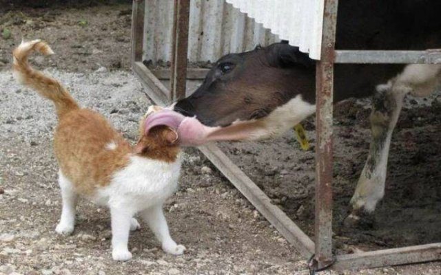 Прикольные фотографии на вечер