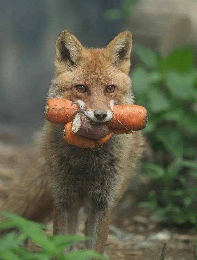 Прикольные фотографии на вечер