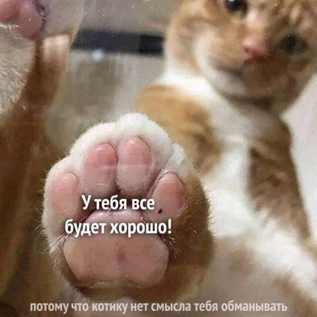 Скриншоты из соцсетей