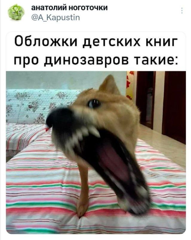 Скриншоты из соцсетей