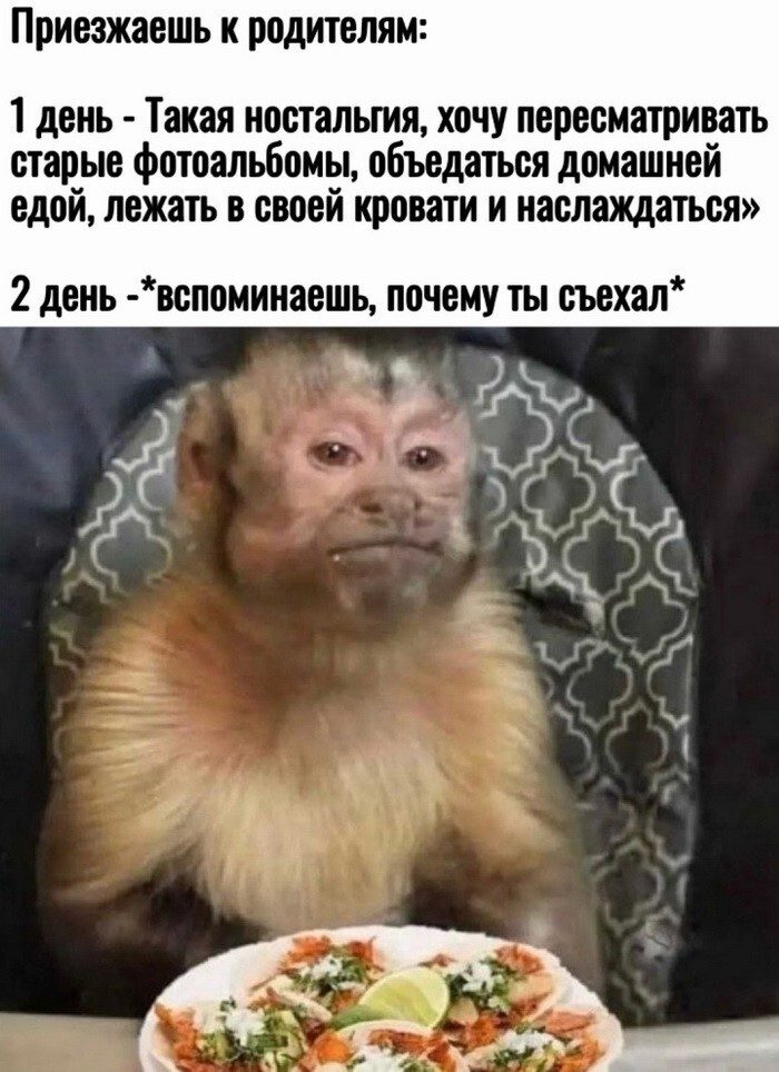 Скриншоты из соцсетей