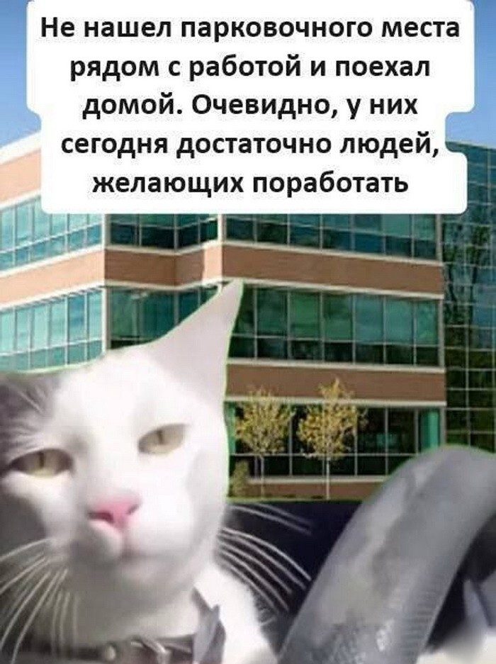 Скриншоты из соцсетей