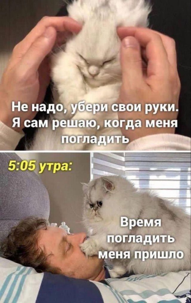 Лучшие шутки и мемы