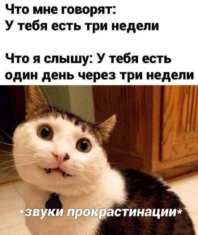 Прикольные мемы