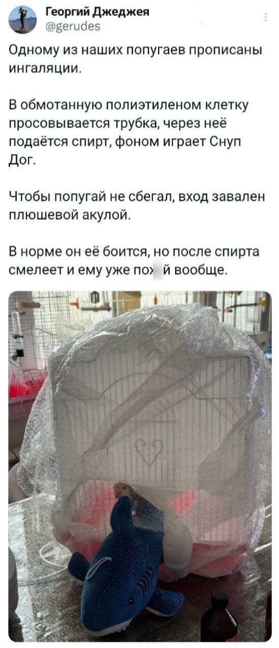 Скриншоты из соцсетей