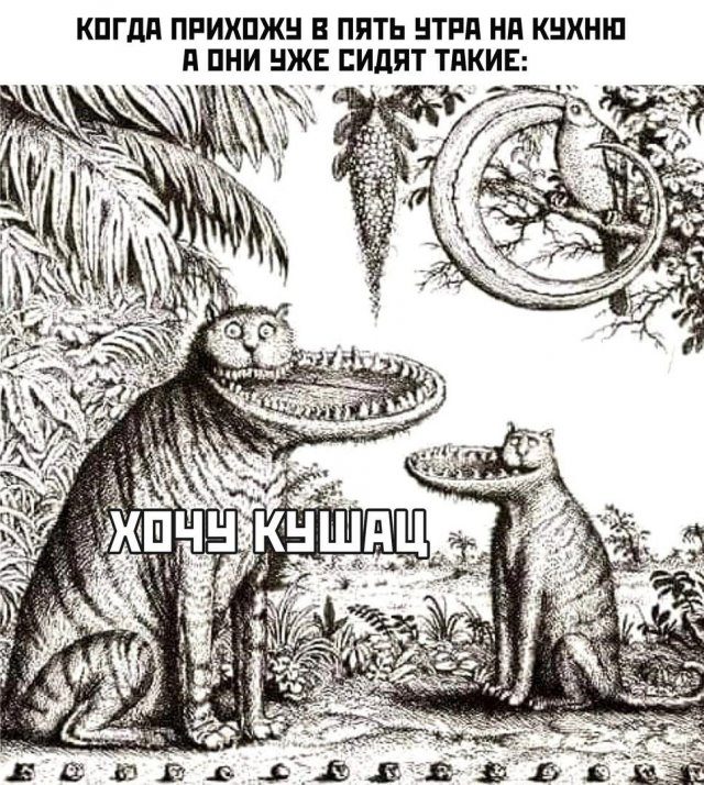 Лучшие мемы