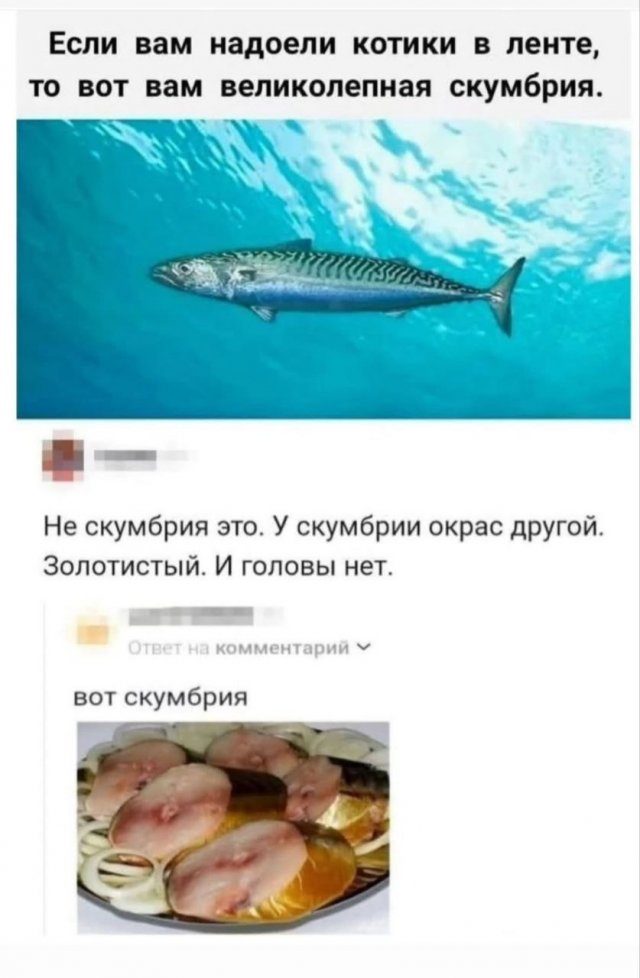 Лучшие мемы