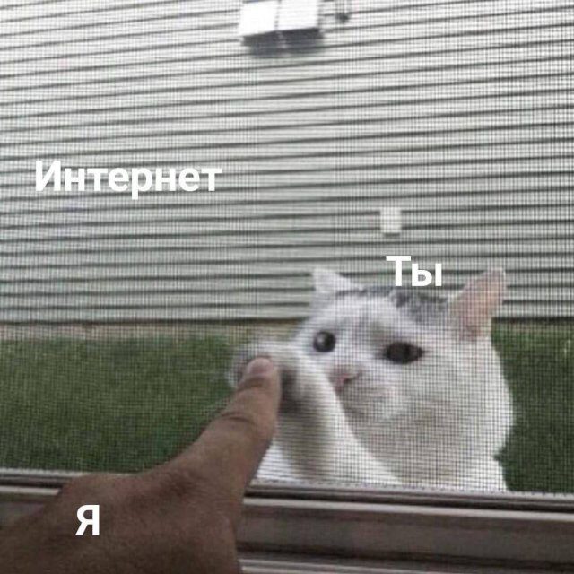 Забавные мемы