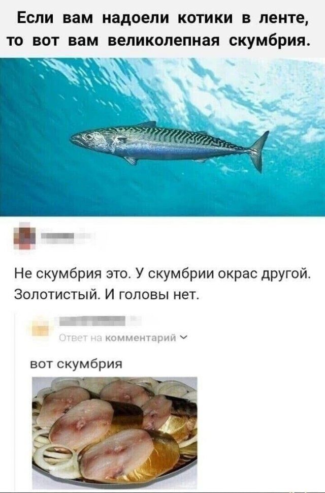 Картинки и мемы из Сети