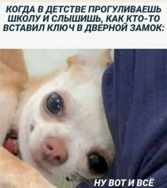 Смешные картинки