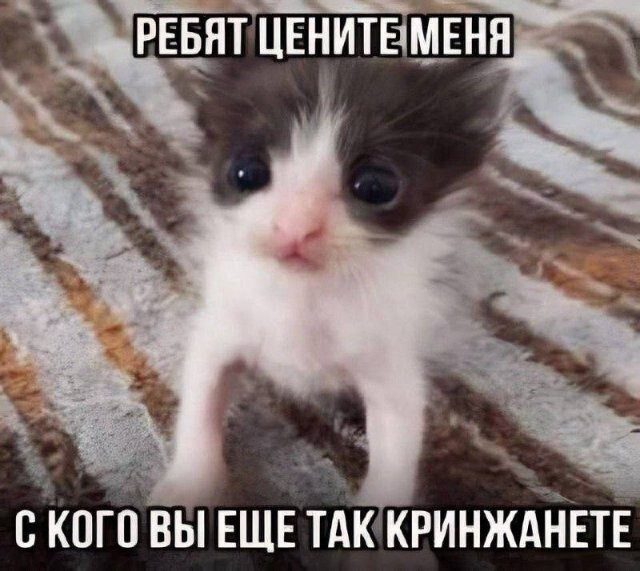 Скриншоты из соцсетей