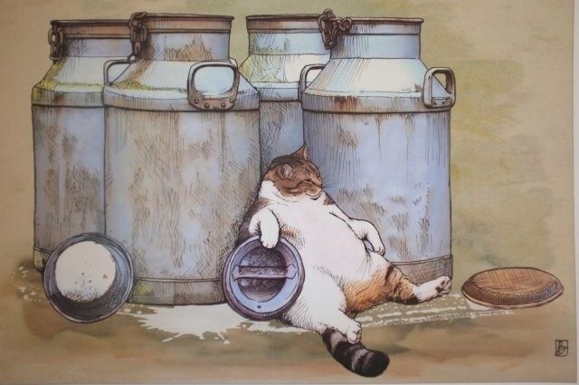 Скриншоты из соцсетей
