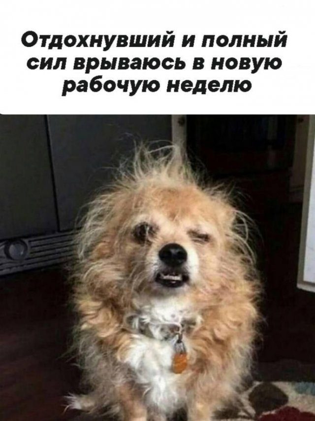 Смешные картинки