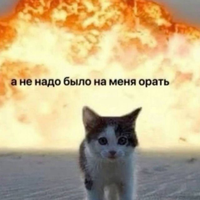 Смешные картинки