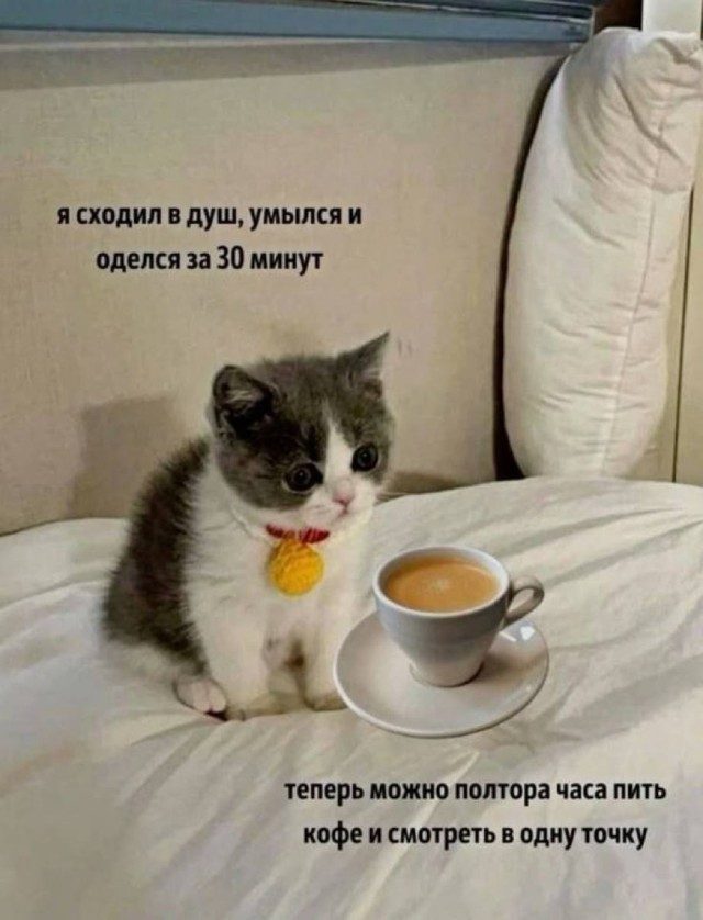 Прикольные картинки на любой вкус