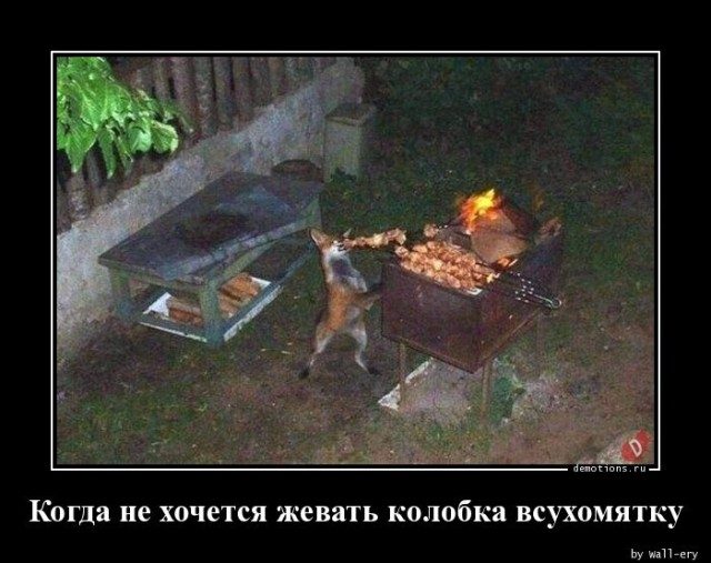 Демотиваторы дня