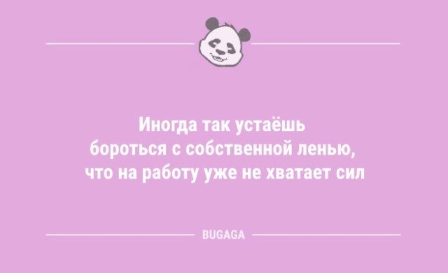Анекдоты дня