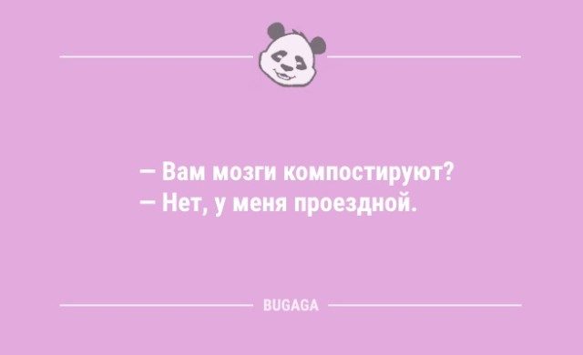 Анекдоты дня