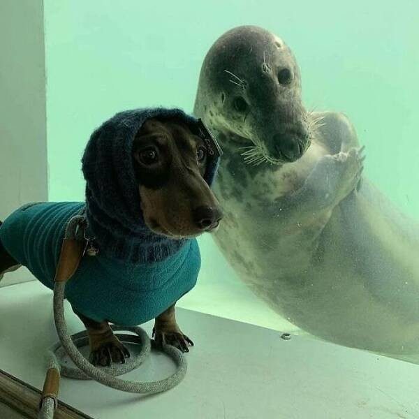 Фотоприколы для всех