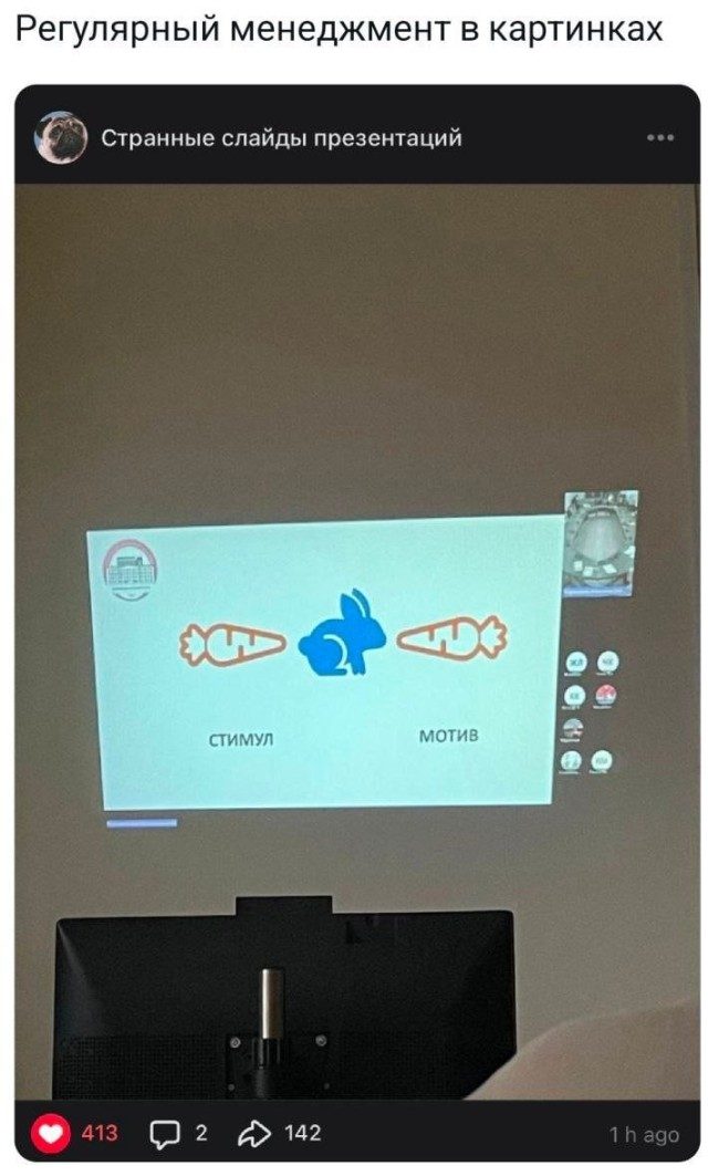 Фотоприколы для всех
