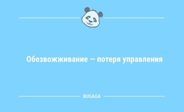 Шутки и анекдоты