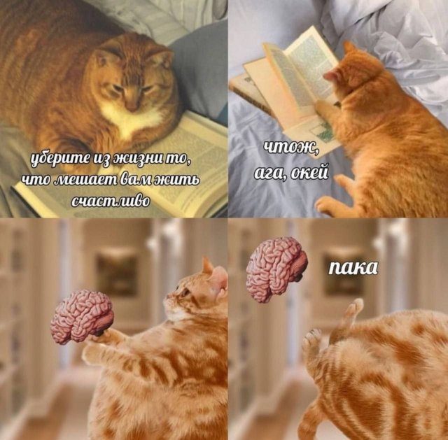 Смешные мемы