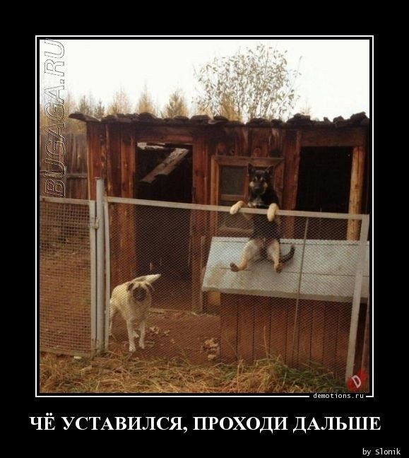 Сборник демотиваторов