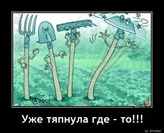 Сборник демотиваторов