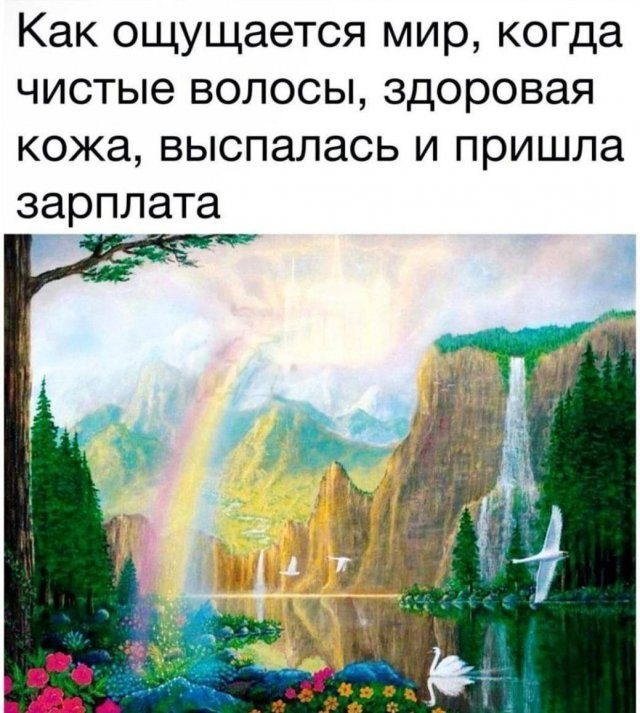 Смешные мемы