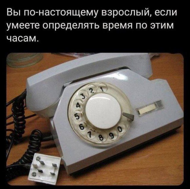 Смешные картинки