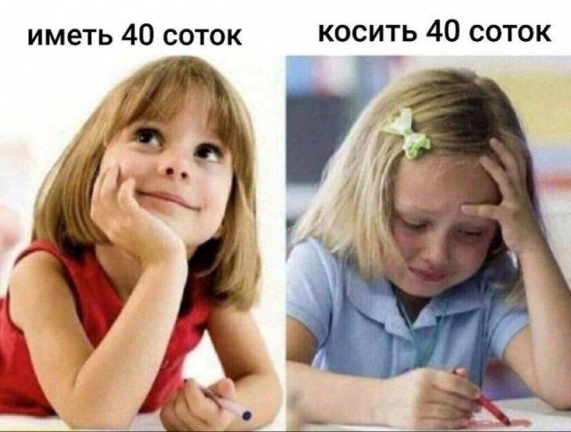 Смешные картинки