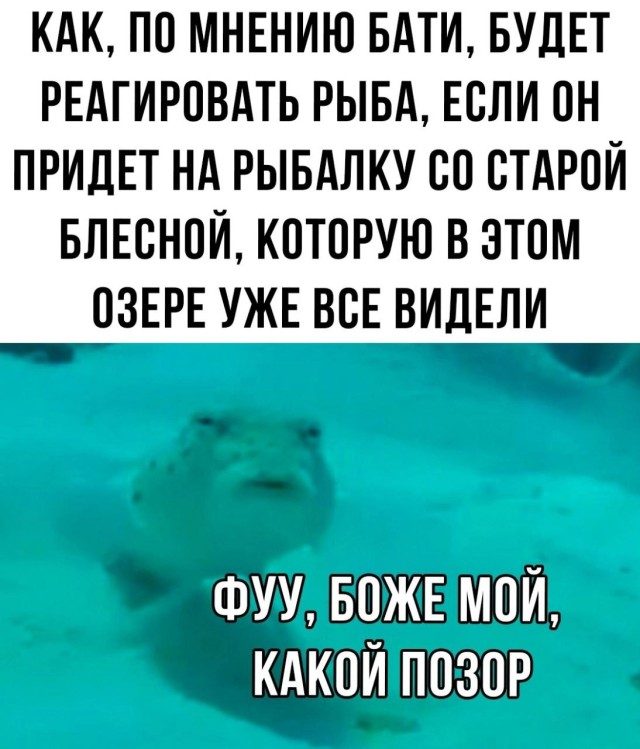Фотоприколы для всех