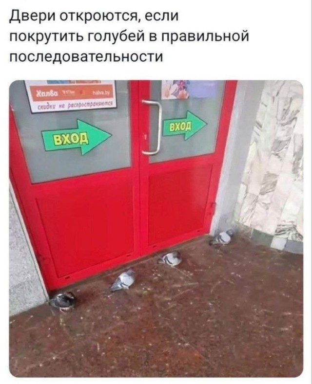Весёлые картинки для всех