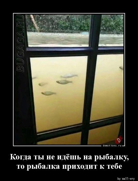 Демотиваторы-приколы