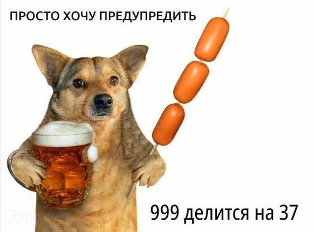 Весёлые картинки для всех