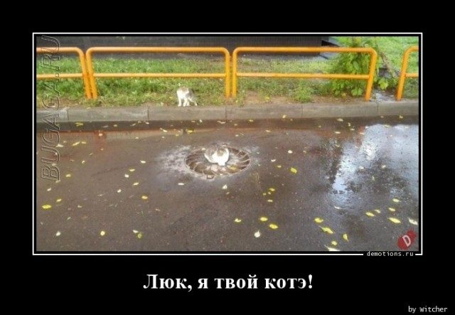 Демотиваторов сборник