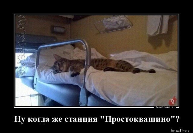 Демотиваторы-приколы