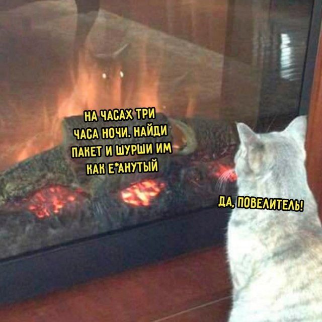 Шутки и мемы